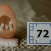 72b. Minature tranparent Egg Creche ($20 Value - Bid $__)